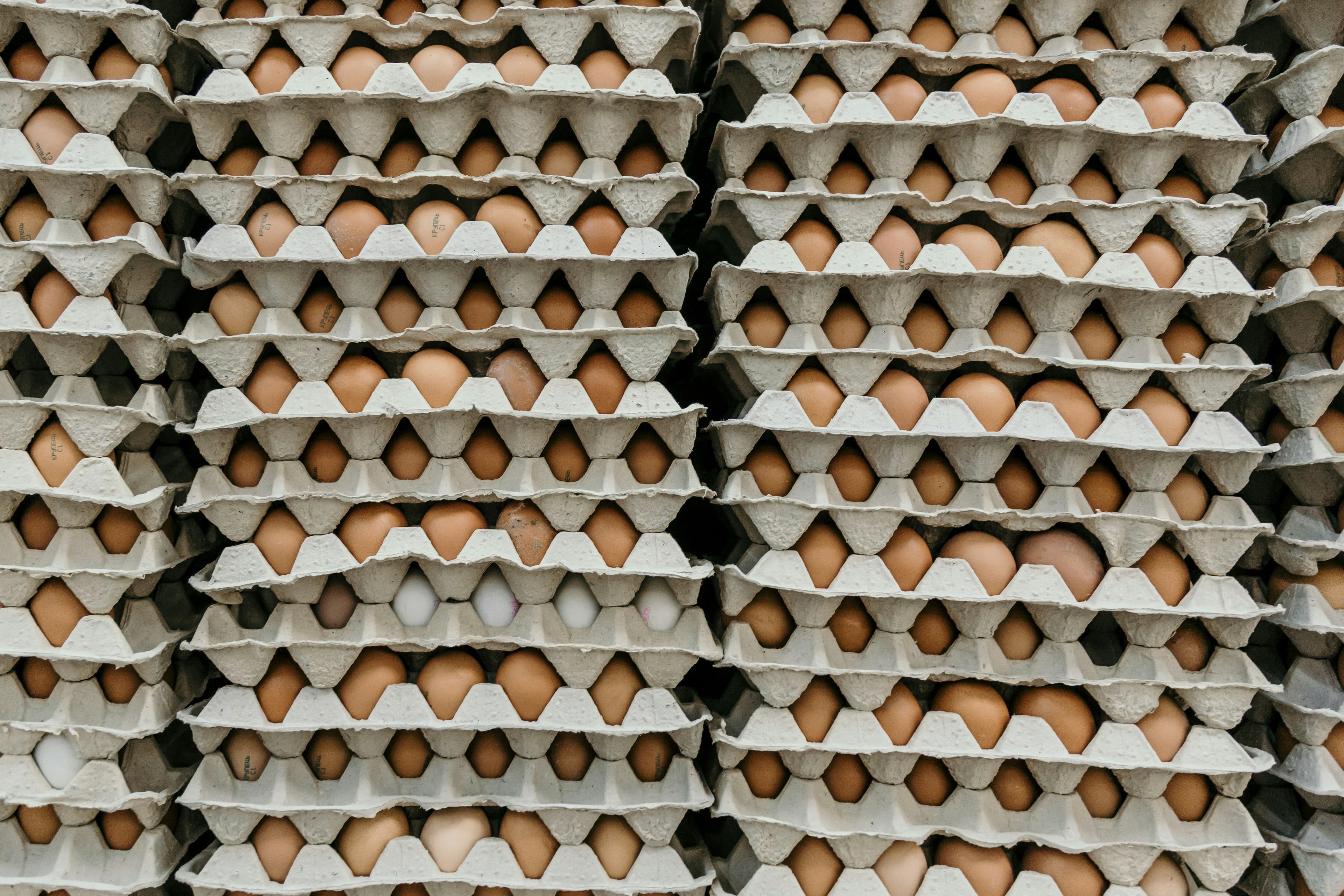 Fresh free-range eggs from Dan Farm Ltd